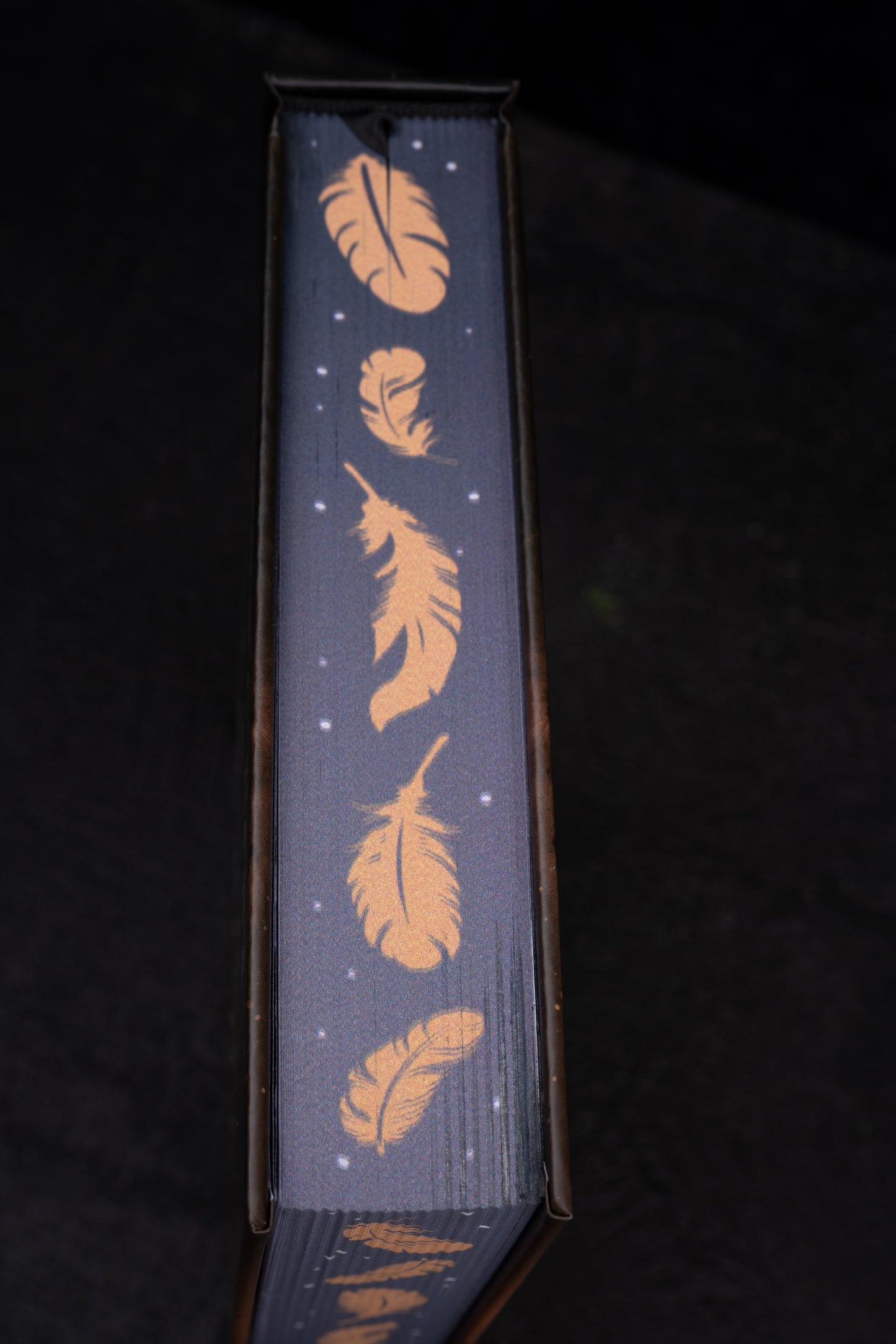 But Did You Die? Collector’s Edition – Damaged & Signed